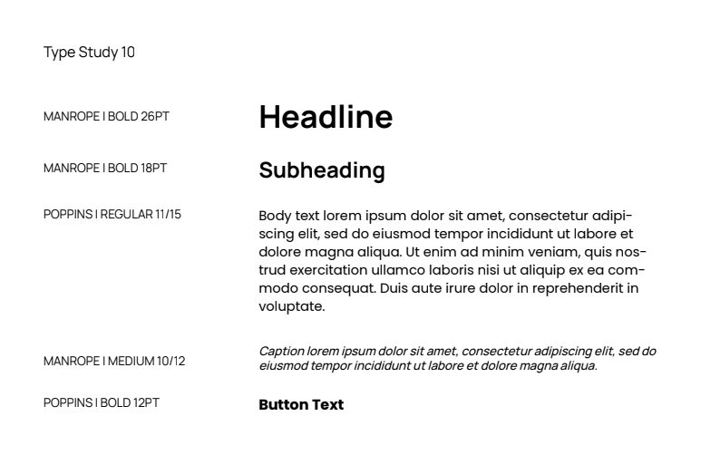 Type Study